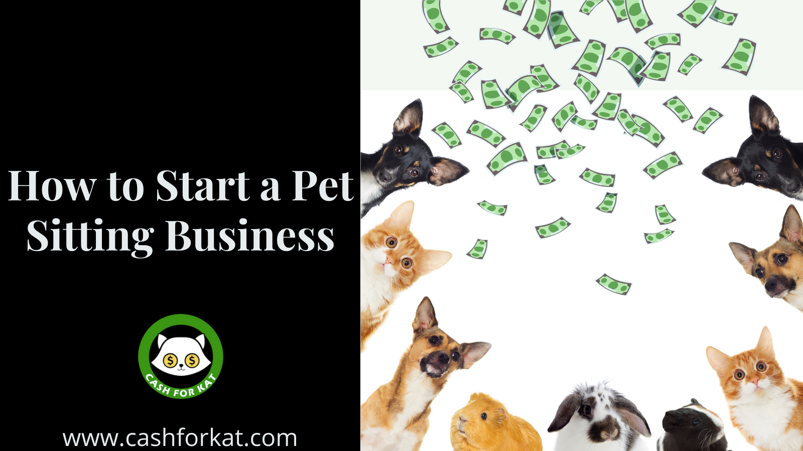 how-to-start-a-pet-sitting-business-a-career-from-home-careerlancer